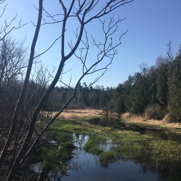 Meet your Posher, Mj - Picture 1 of 1